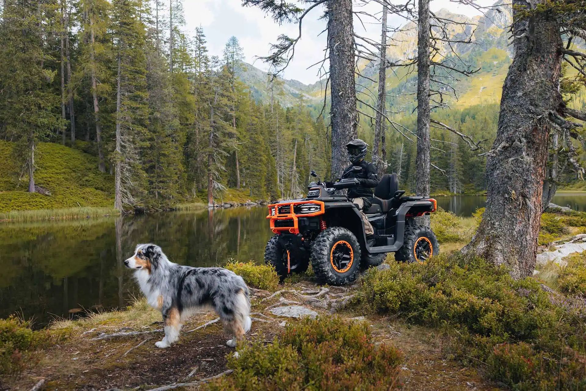 Offres GOES à Limoges | SMB Motoculture