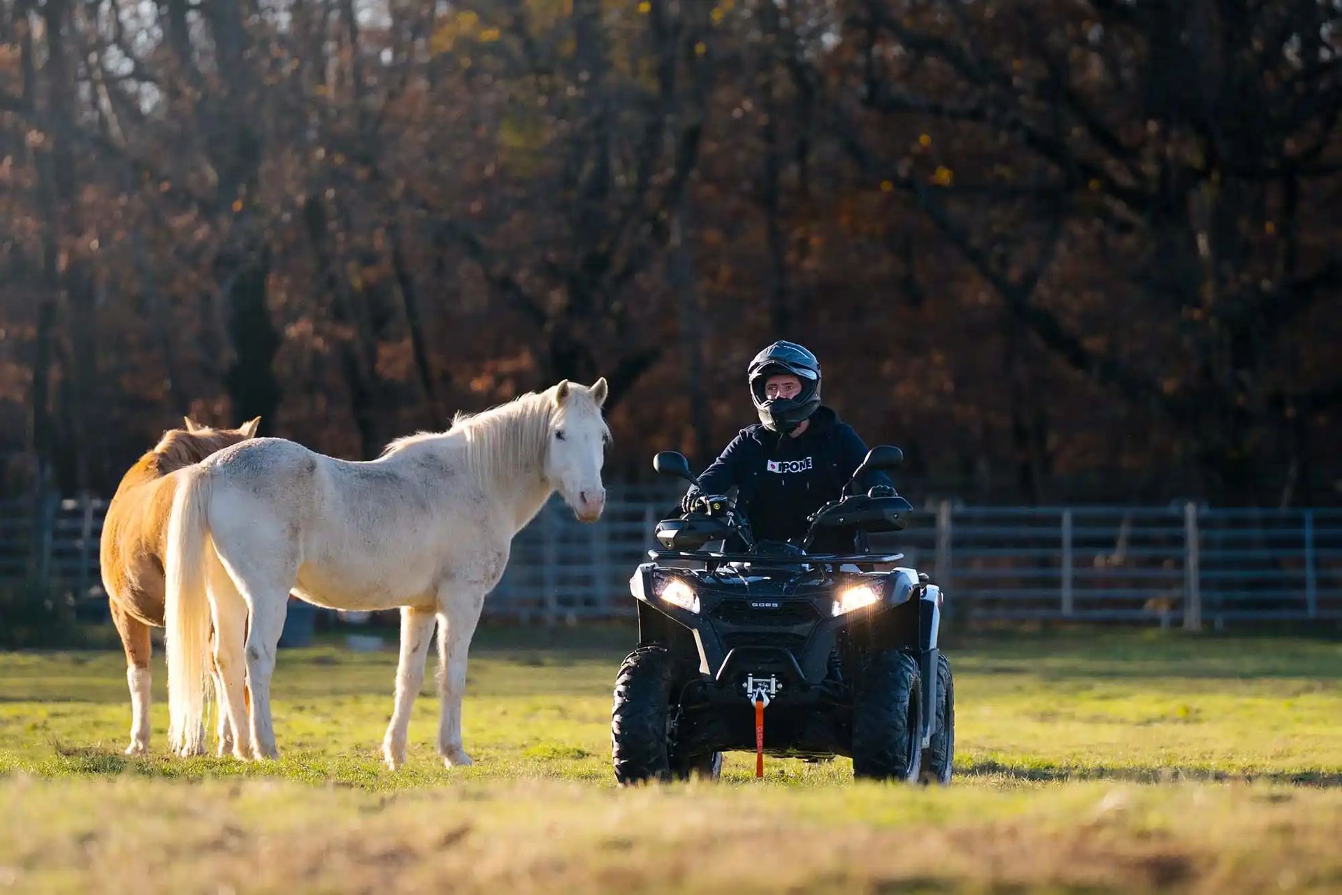 GOES Terrox 500 | SMB Motoculture